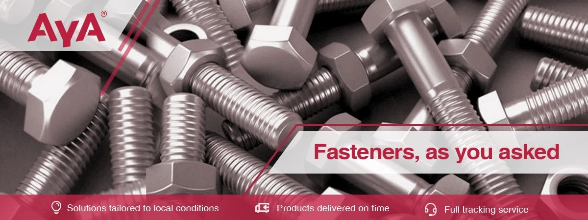 Stainless Steel Hex Head Bolts-AYA